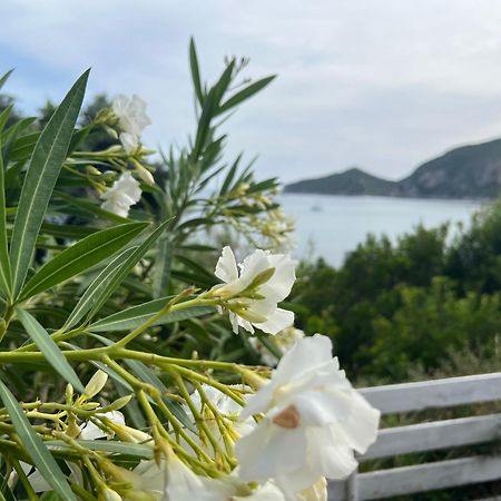 Hamre Apartments Agios Georgios Pagon Exterior foto